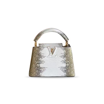 LOUIS VUITTON CAPUCINES MINI M98156 (21*14*8cm)